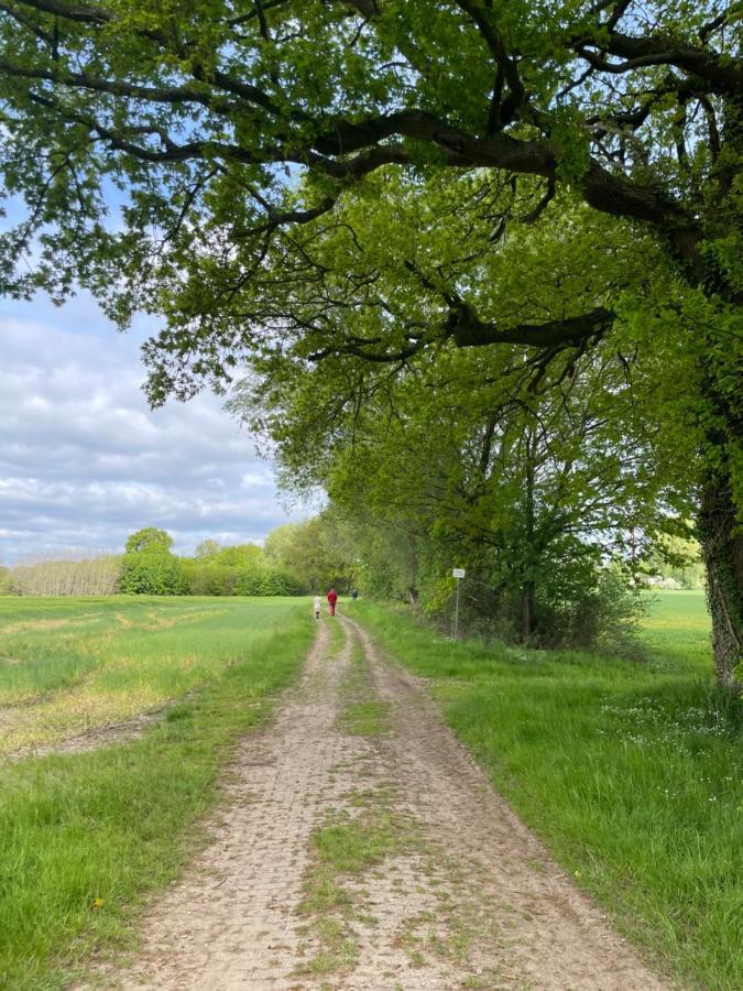 Luxus Lindenhof Apartments -Ferienwohnungen In Friesland An Der Nordsee Am Naturschutzgebiet Urwald Neuenburg  Esterno foto